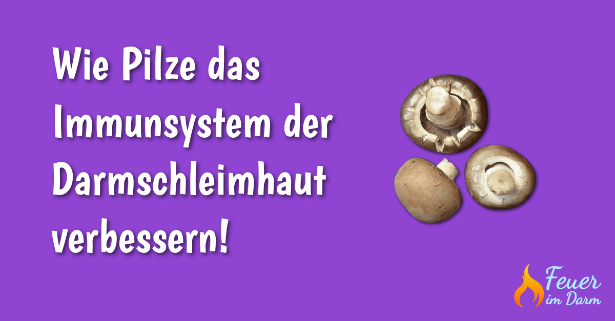 Wie Pilze das Immunsystem der Darmschleimhaut verbessern!