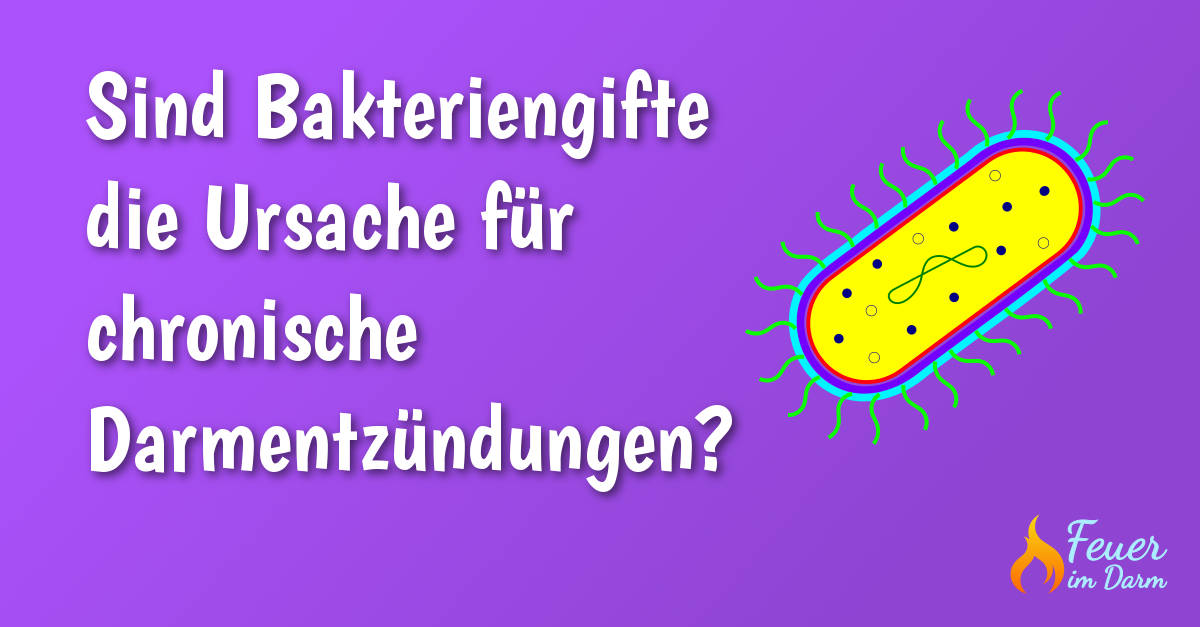 Sind Bakteriengifte die Ursache für chronische Darmentzündungen